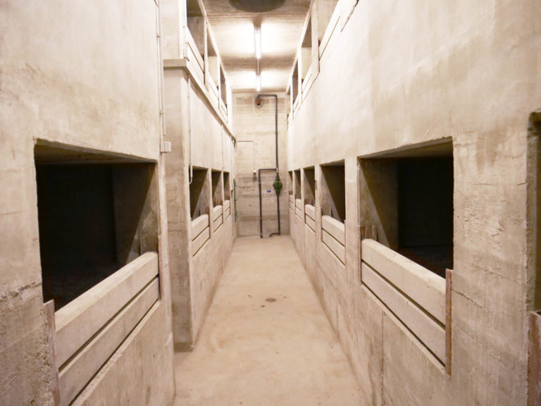 BUNKER KAUFEN IN DER N HE visual data 7